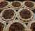 Habañero Pecan Pie 4 in.